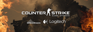 Illustration for article titled Scarcity of the Counter-Strike Worldwide Offensive Skins